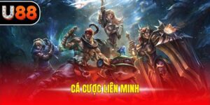 Cá Cược Liên Minh Và Thông Tin Mới Nhất 2025 Cho Tân Binh